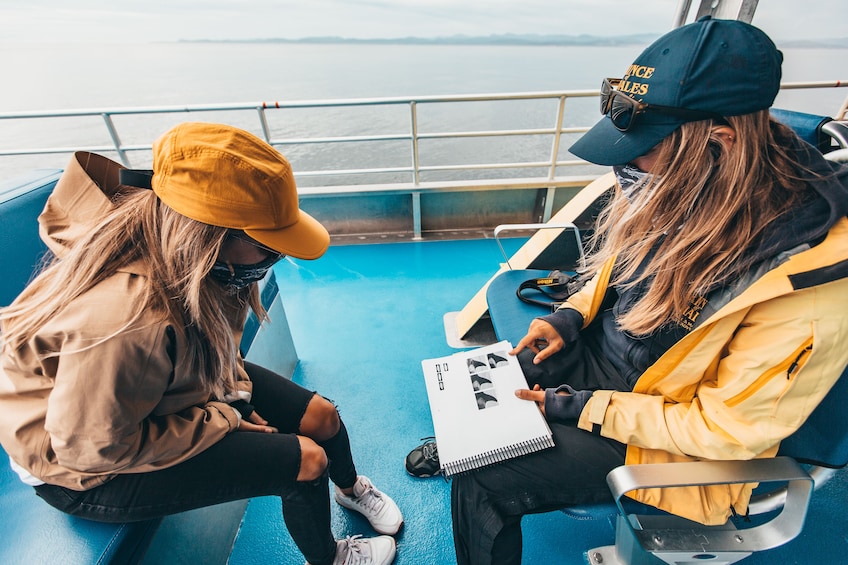 Half-Day Whale Watching (Victoria, BC)