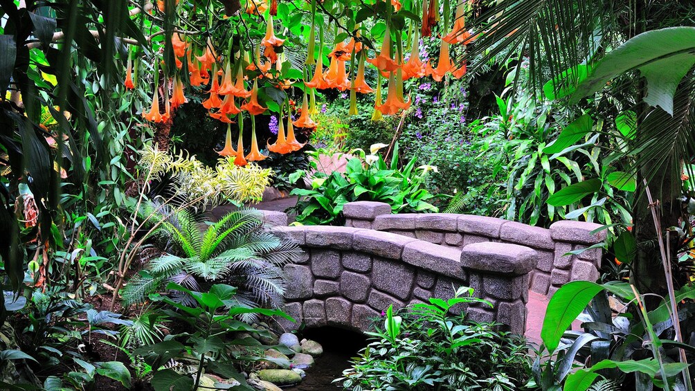 Small bridge over a creek amid the lush and colorful grouds at Victoria Butterfly Gardens in Victoria