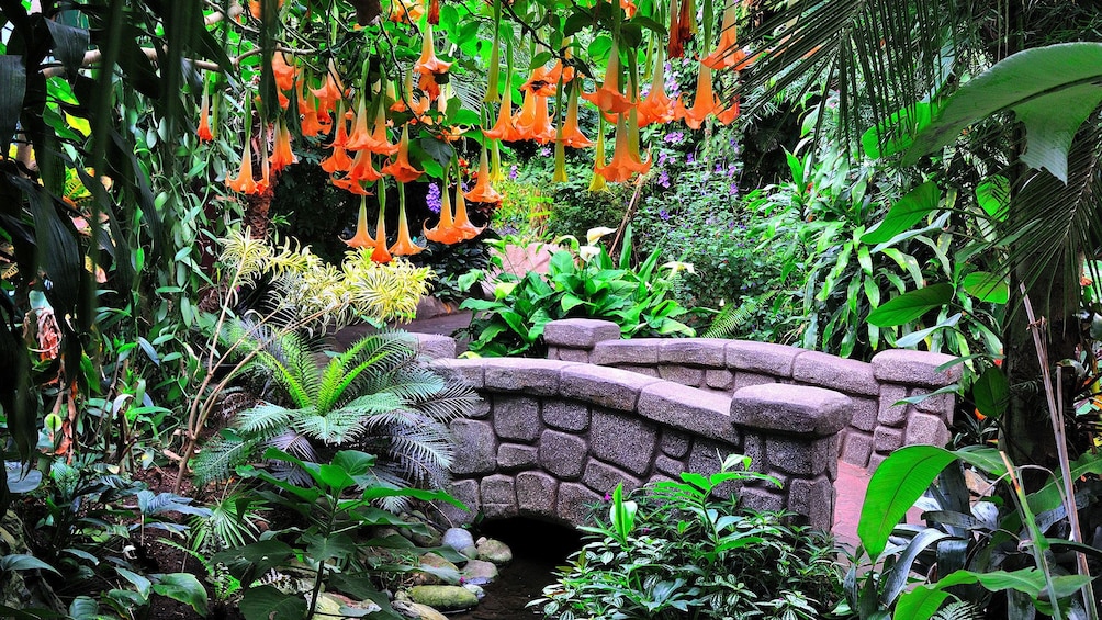Small bridge over a creek amid the lush and colorful grouds at Victoria Butterfly Gardens in Victoria