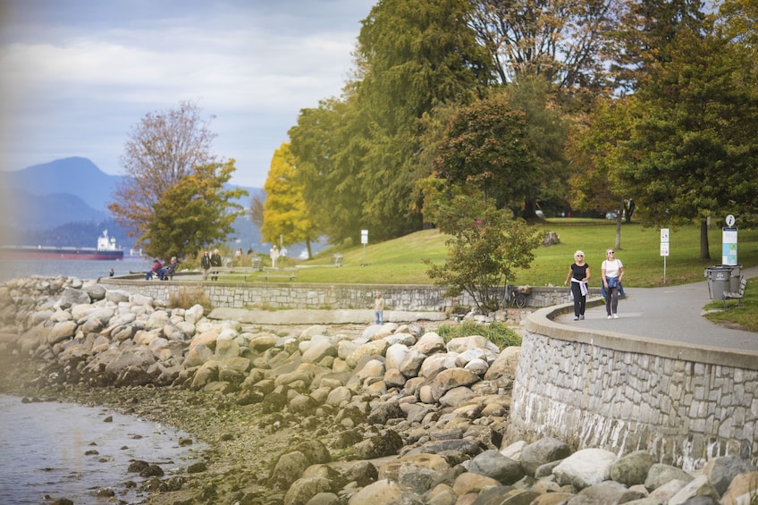 Highlights Tour & Vancouver Lookout Observation Deck Tickets