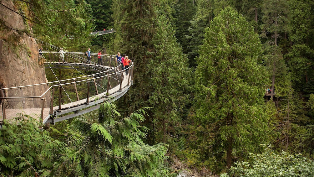 Capilano Suspension bridge around rocky cliffs in Vancouver