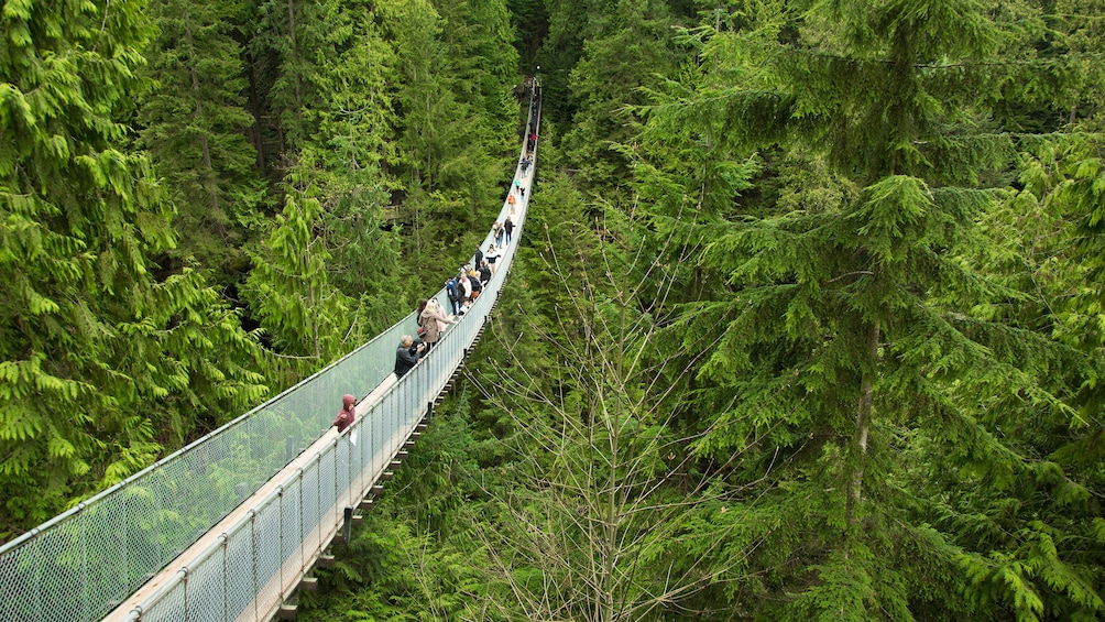 Capilano Suspension Bridge 