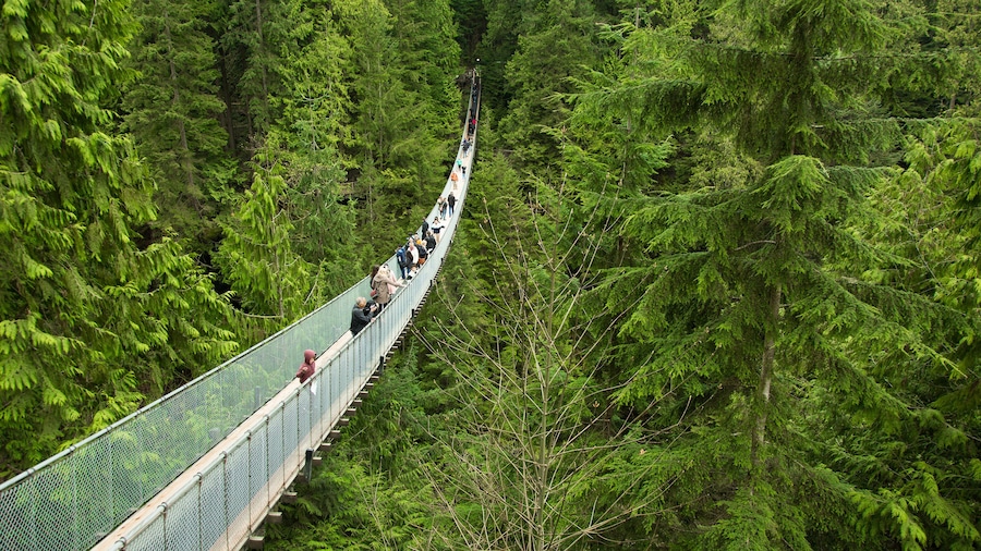 Capilano Suspension Bridge
