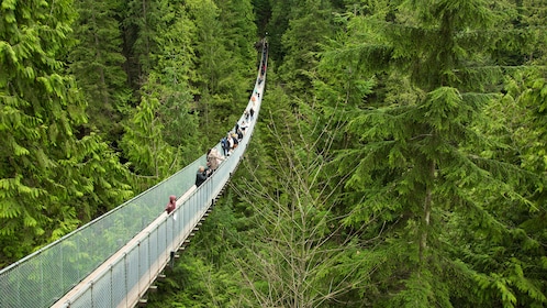 卡皮拉諾吊橋公園和溫哥華城市之旅