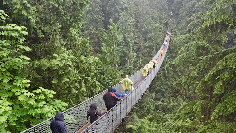 Crossing the Capilano Suspension Bridge 