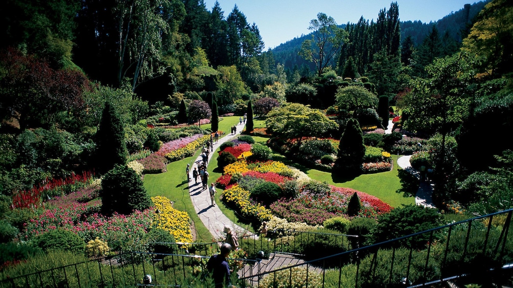  Butchart Gardens outside Victoria BC