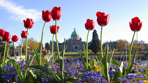 Vancouver naar Victoria & toegang tot Butchart Gardens