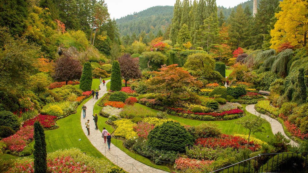 Butchart Gardens