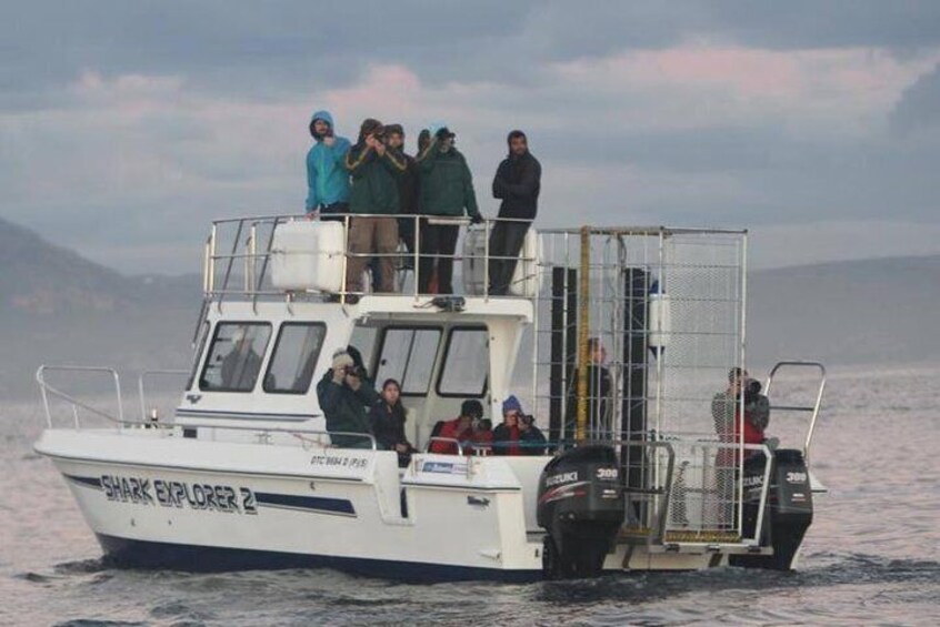 Our boat takes between 18 to 25 passengers.A small boat ensures a more personalized tour.Do not go on larger boats!