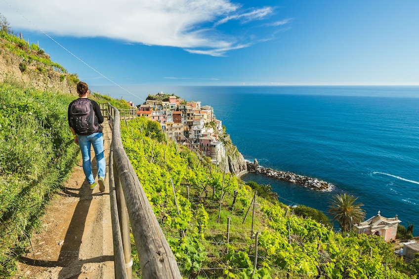   Cinque Terre Hiking Shore Excursion from La Spezia Port