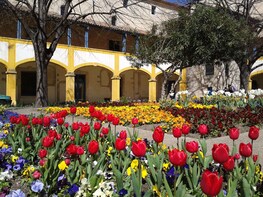Arles, Saint-Rémy-de-Provence & Les Baux-de-Provence Full-Day Tour