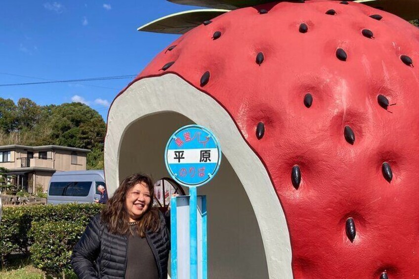 The strawberry bus stop is very popular!
