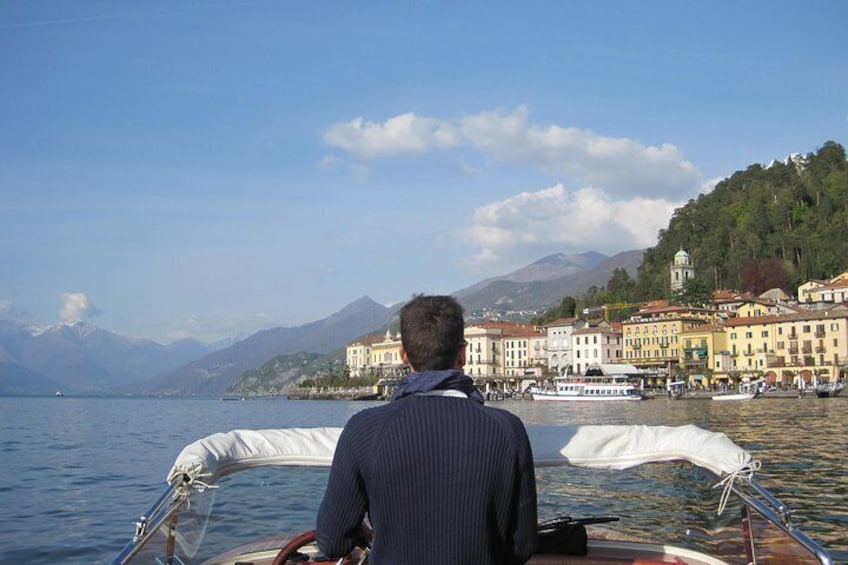 Cruise