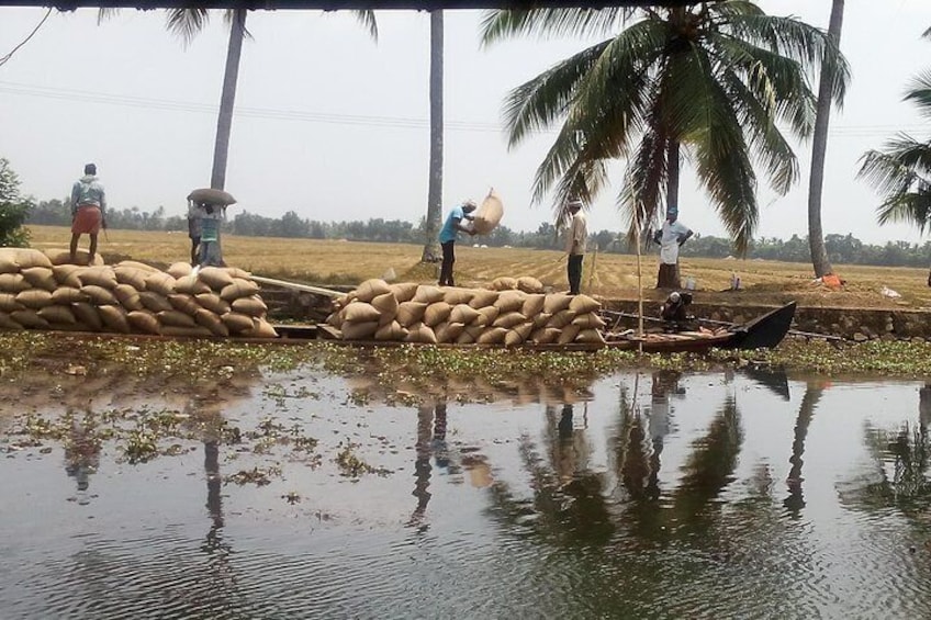 View from houseboat people loading rice boats