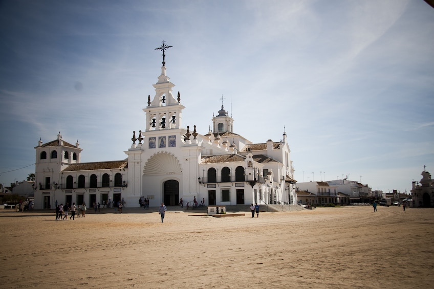 Doñana National Park Half-Day Tour from Seville