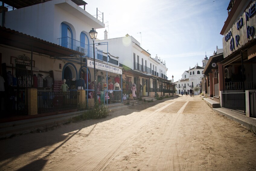 Doñana National Park Half-Day Tour from Seville