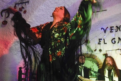 Espectáculo Flamenco en el Sacromonte
