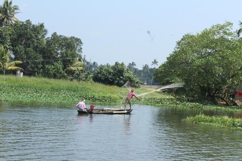 Pristine nature of backwaters