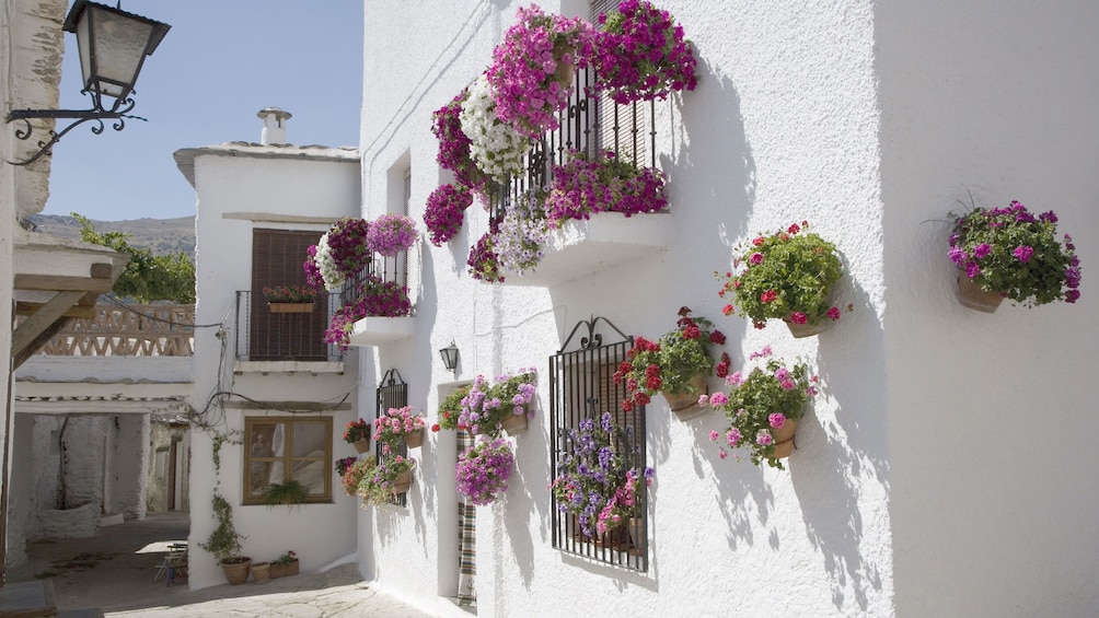 home decorated with flowers in granada