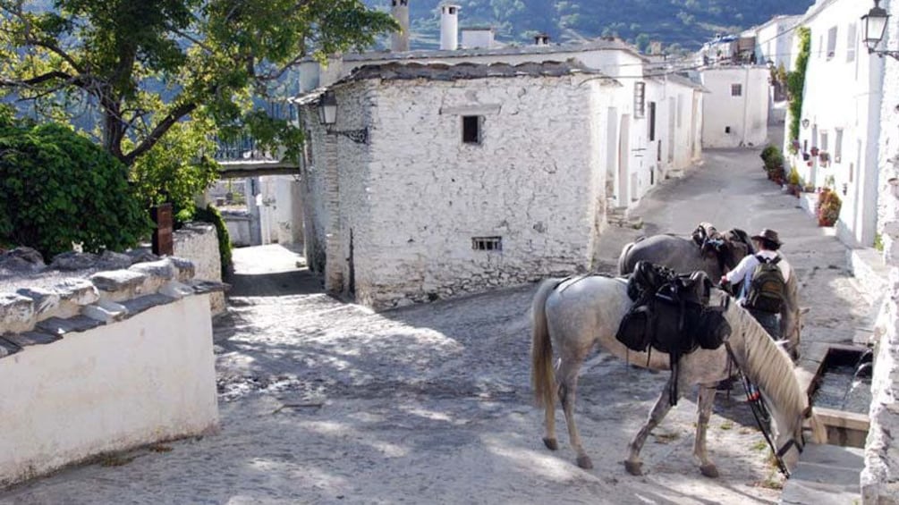 small town in granada