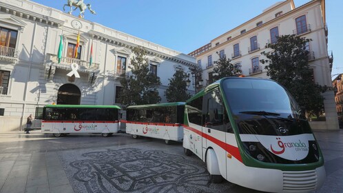 Tour en tren turístico por la ciudad de Granada