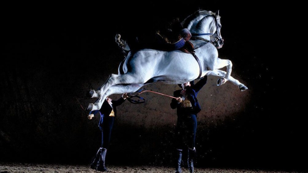 “How the Andalusian Horses Dance” authentic horseback ballet performed to traditional Spanish music in Cadiz, Spain 