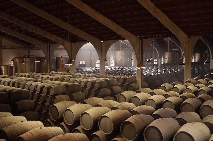 Jerez & Cadiz. Wine, Horses & Light Tour from Seville