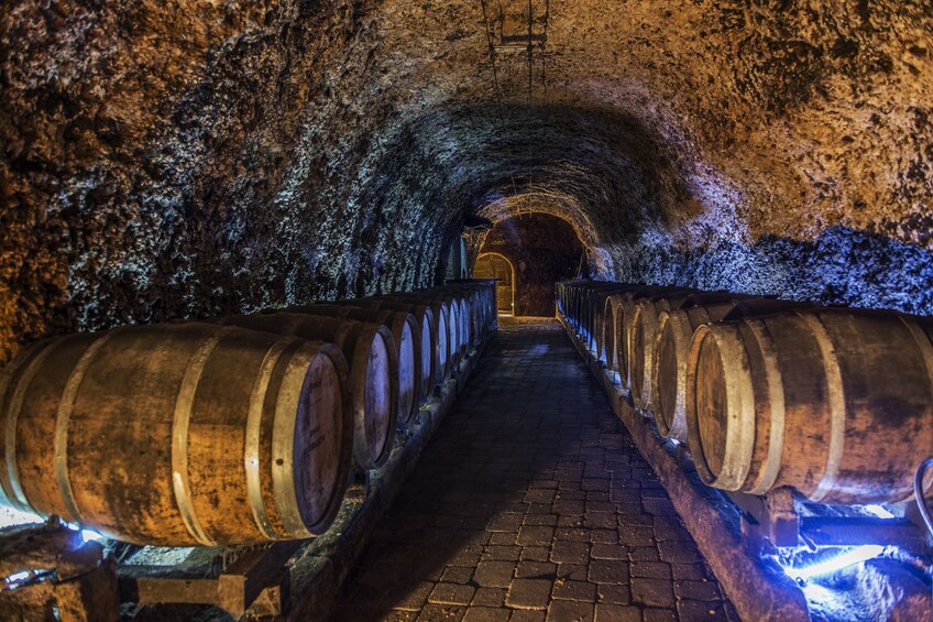 Vitoria & Rioja Wine Area Full-Day Tour