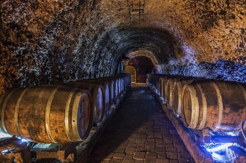 Vitoria & Rioja Wine Area Full-Day Tour