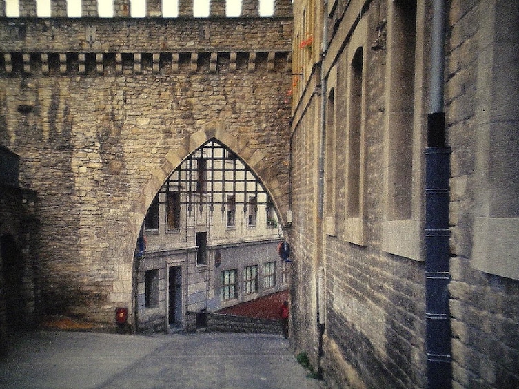 Vitoria & Rioja Wine Area Full-Day Tour