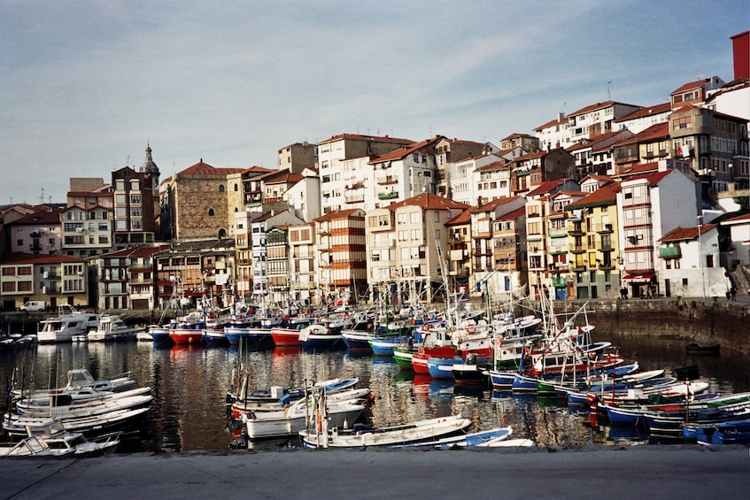Basque Coast Half-Day Tour