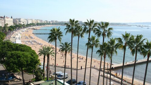 Cannes, Antibes Halvdagstur (T3)