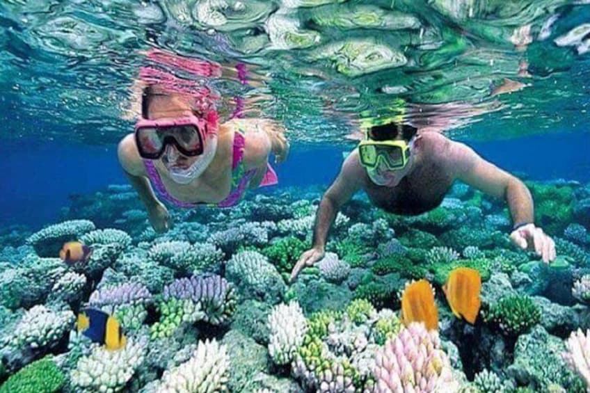 Blue Lagoon SnorkelingTour