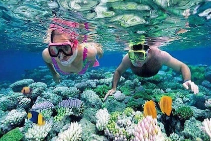 Blue Lagoon Snorkelling Lempuyang Temple Private Guided Tour