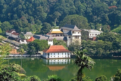 Kandy Day Trip with Tooth Relic Temple & Unique Attractions