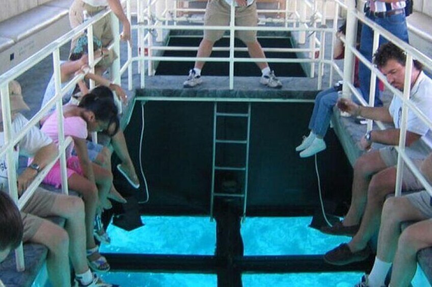 Glass Bottom Boat