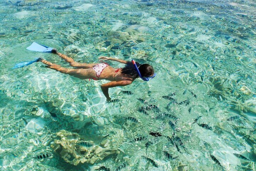 Snorkelling