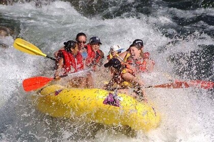 Melangit River Rafting and Bali Best Waterfalls Tour