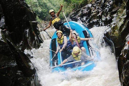 Melangit River Rafting and Waterfall, Holy Water Temple, Rice Terrace Tour