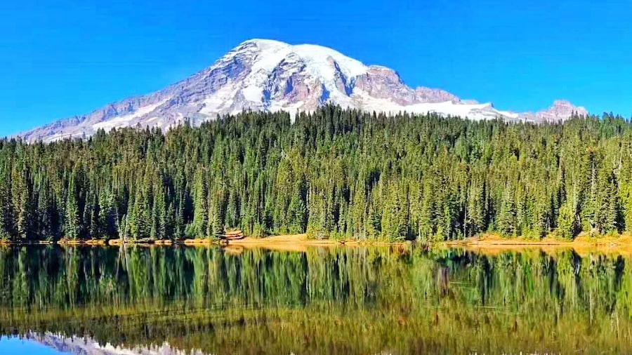1-Day Mount Rainier National Park Tou
