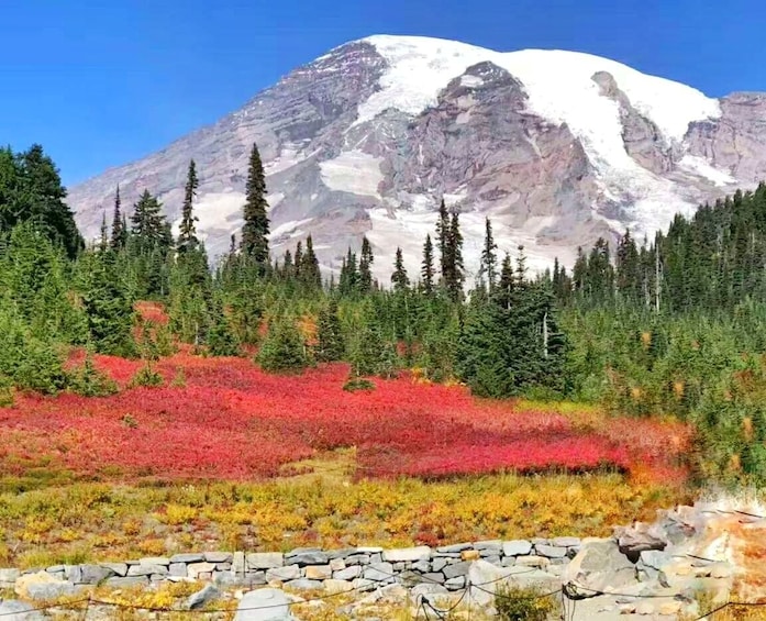 1-Day Mount Rainier National Park Tour(Seattle Departure)SR1