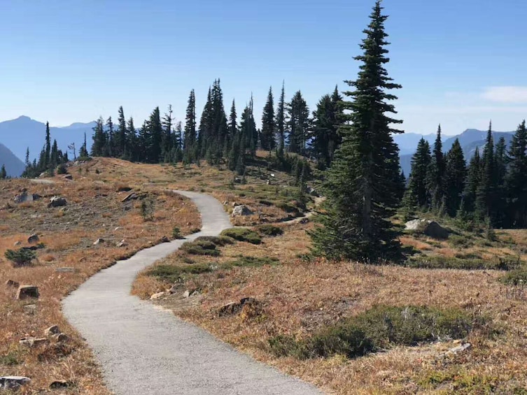 BEST Mount Rainier National Park One-Day Tour from Seattle 