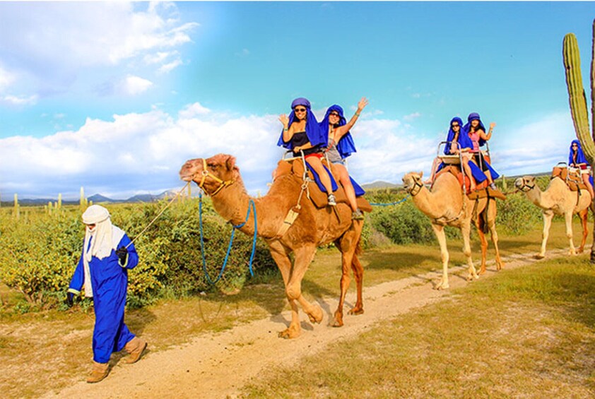 Desert & sea, Camel Safari tour with lunch