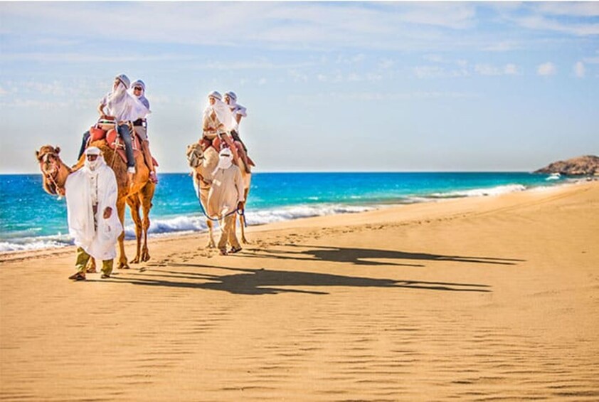 Desert & sea, Camel Safari tour with lunch