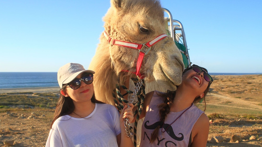 Desert & sea, Camel Safari tour in Los Cabos with lunch