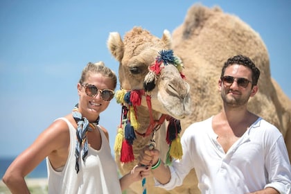 Desierto y mar, tour Camel Safari en Los Cabos con almuerzo