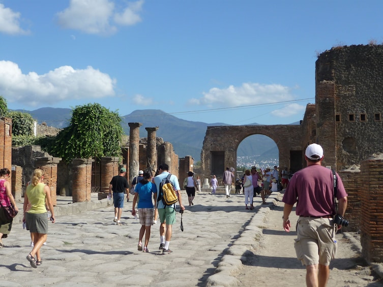 Private Pompeii Walking tour with Archeological Guide