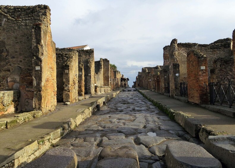 Private Pompeii Walking tour with Archeological Guide