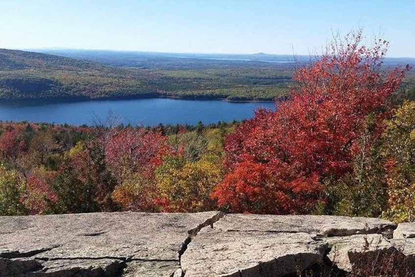 Park Loop Road (Fall)