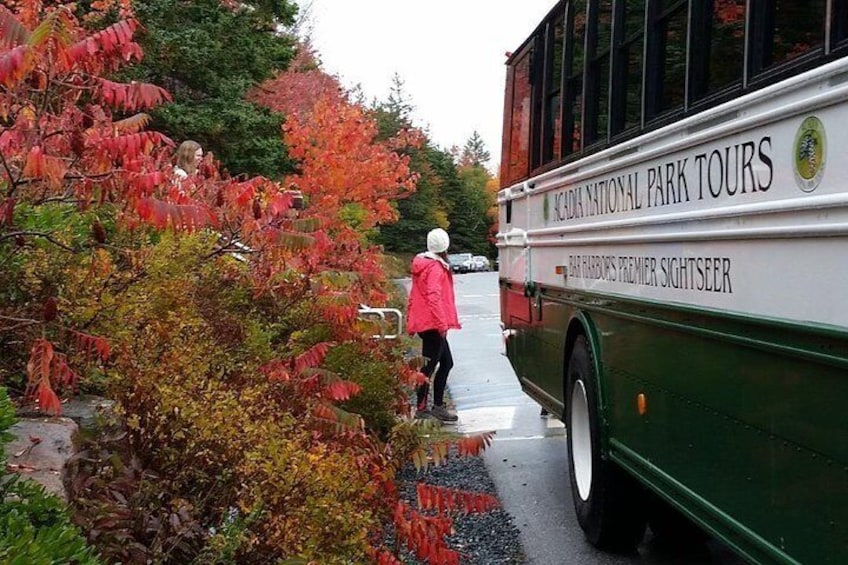 Narrated Bus Tour of Bar Harbor and Acadia National Park (Classic - 2.5 Hours)